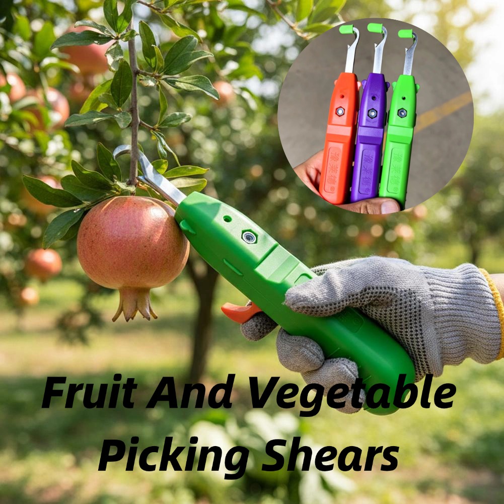 Gardening Tools Scissors - Ciseaux de cueillette de fruits et