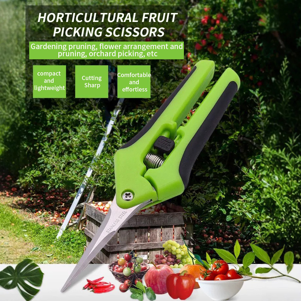Gardening Tools And Uses - Ciseaux à fruits pointus 1 pièce