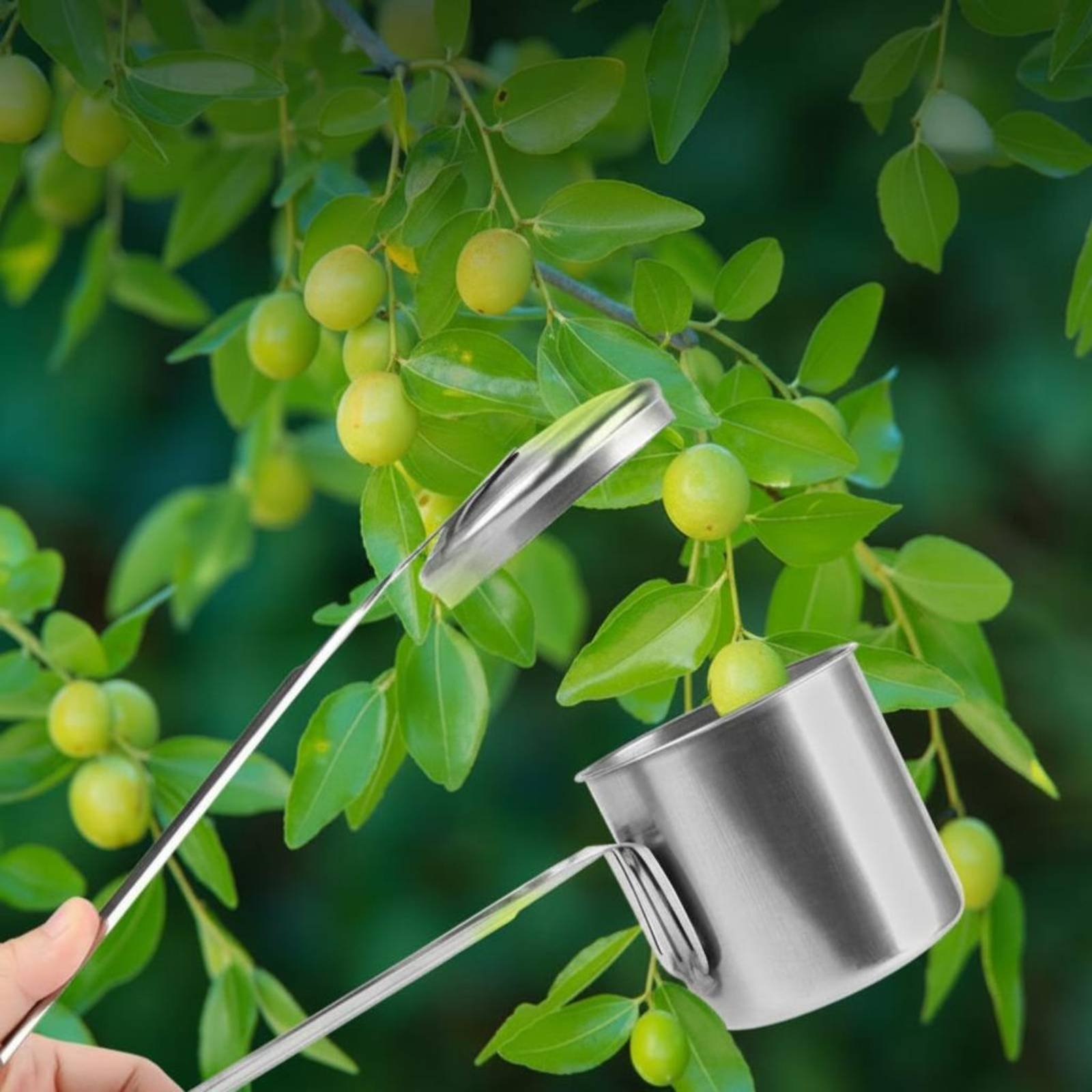 Gardening Tools And Uses - Cueilleur de fruits en acier inoxydable,