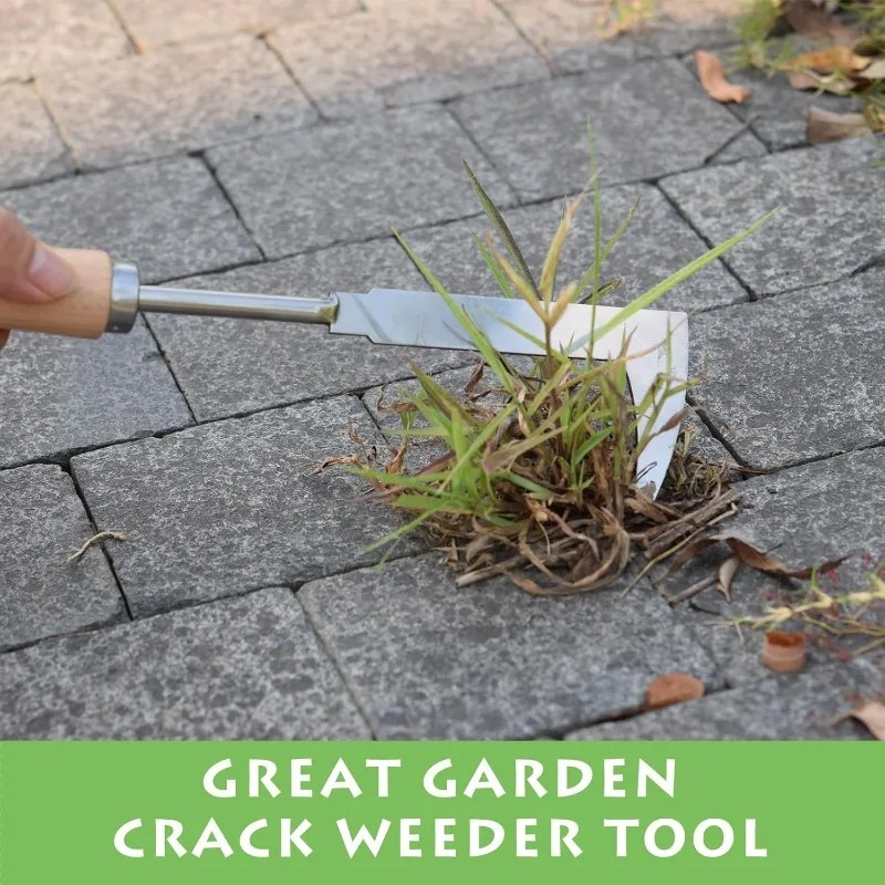 Outil de désherbage en acier i - Gardening Tools Used For Weeding avis et prix