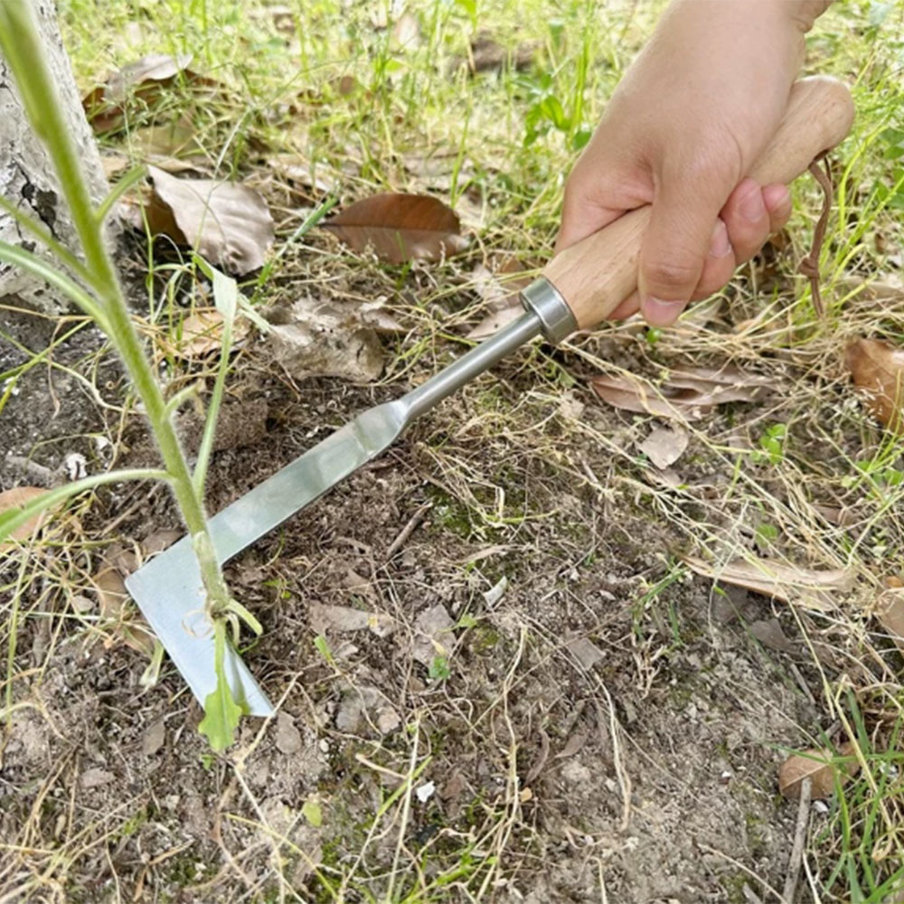 Outil de désherbage en acier i - Gardening Tools Used For Weeding avis et prix