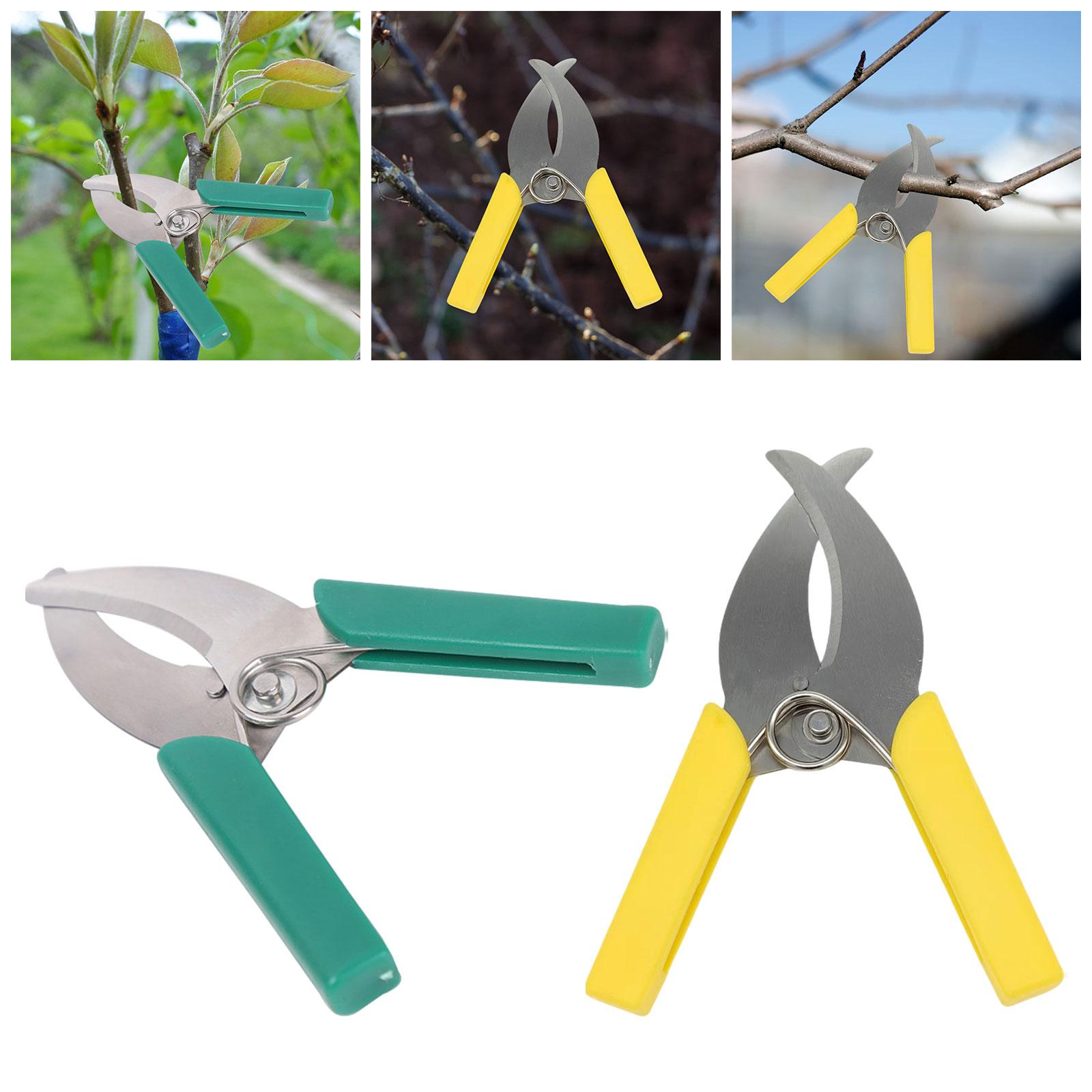 Ciseaux coupe-aboiement à anne - Gardening Tools Scissors avis et prix