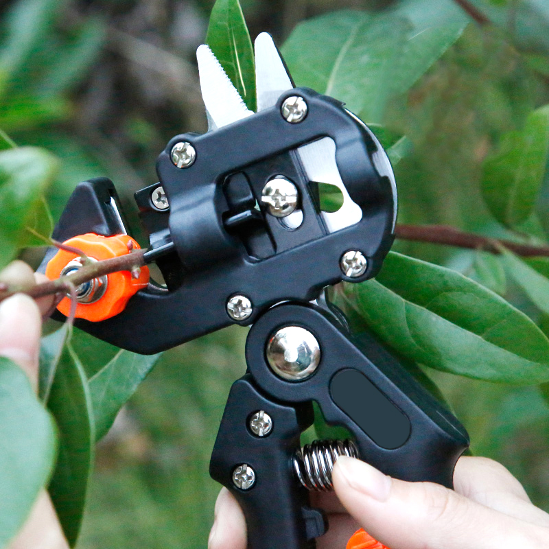 Film de greffage ciseaux de gr - Gardening Tools Scissors avis et prix