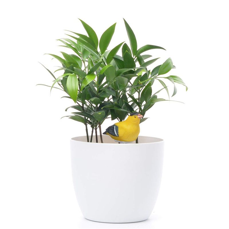 8X Testeur d'humidité du sol,  - Gardening Tools Yellow avis et prix