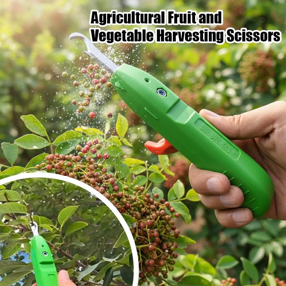 Ciseaux de cueillette de fruit - Gardening Tools Scissors avis et prix