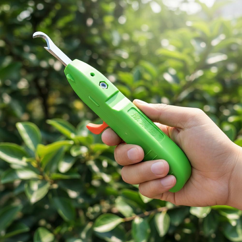 Ciseaux de cueillette de fruit - Gardening Tools Scissors avis et prix