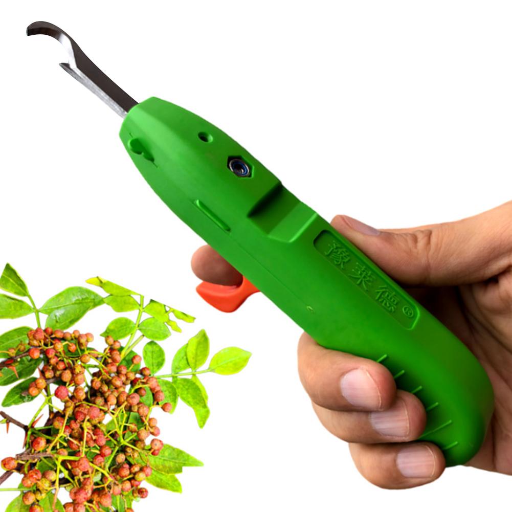 Mini sécateur portable, ciseau - Gardening Tools Scissors avis et prix
