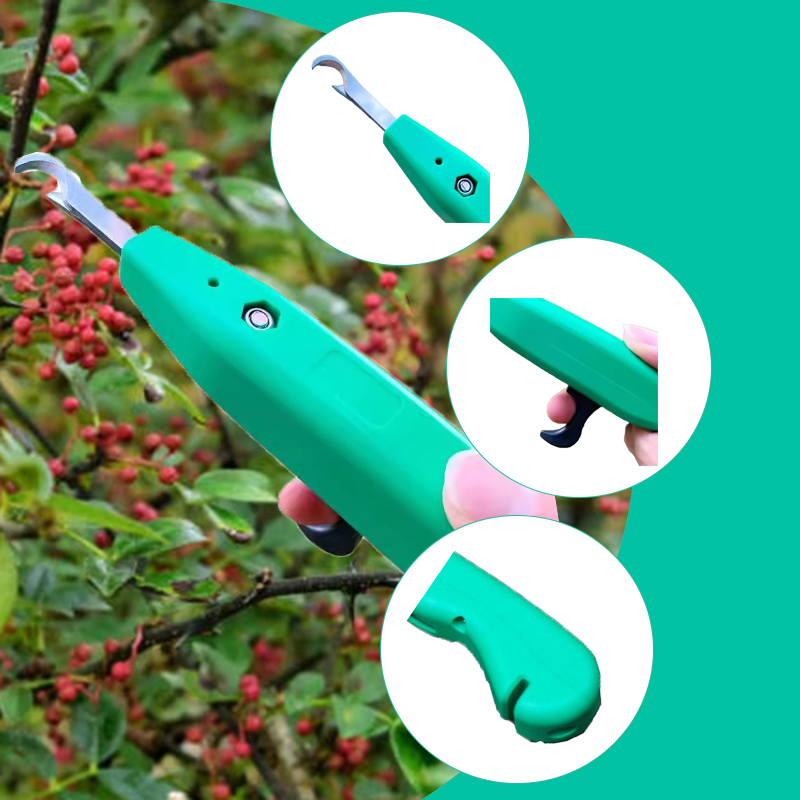 Ciseaux de cueillette de poivr - Gardening Tools Scissors avis et prix