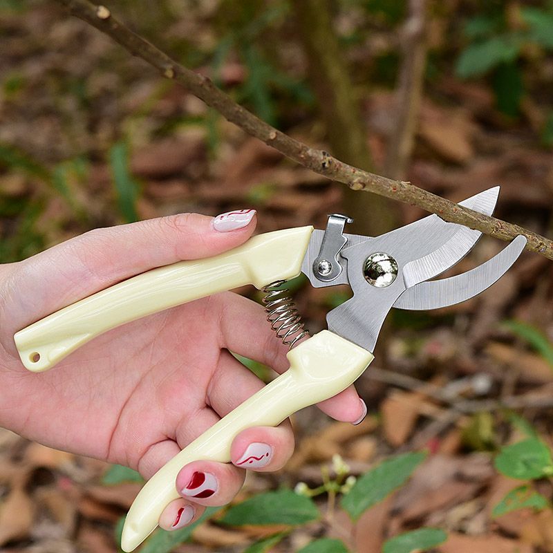 Sécateur de jardin à économie  - Gardening Tools Scissors avis et prix