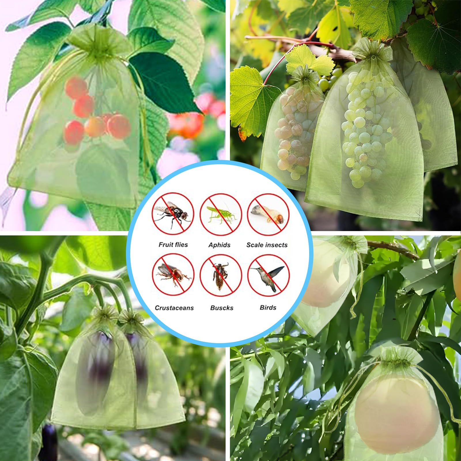 Filet anti-oiseaux efficace, s - Outdoor Planting Bag avis et prix