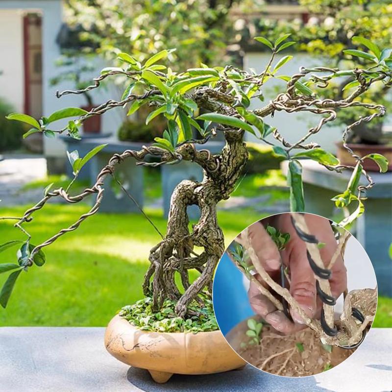 10 mètres de fils d’entraîneme - Gardening Tools And Uses avis et prix