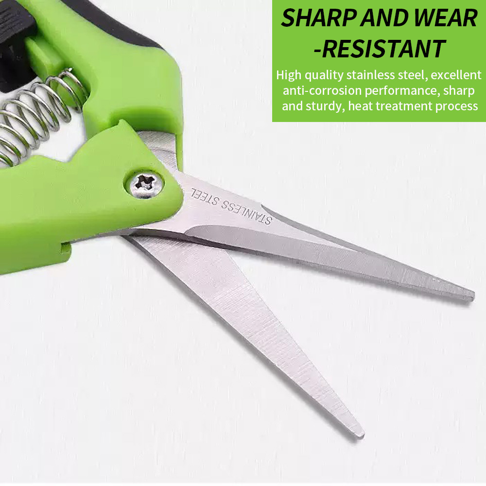 Ciseaux à fruits pointus 1 piè - Gardening Tools And Uses avis et prix