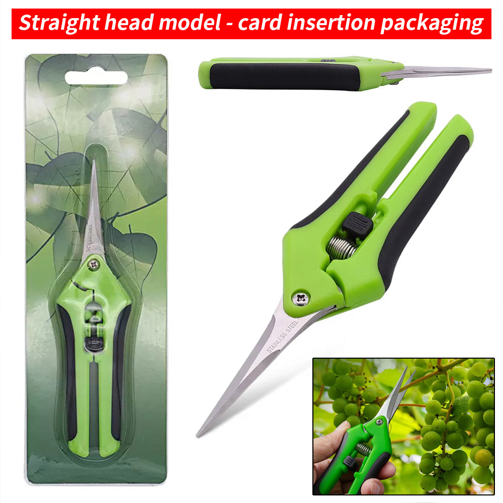 Ciseaux à fruits pointus 1 piè - Gardening Tools And Uses avis et prix