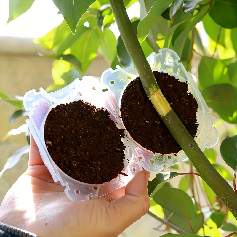 Kit de 10 pièces pour la propa - Gardening Tools And Uses avis et prix