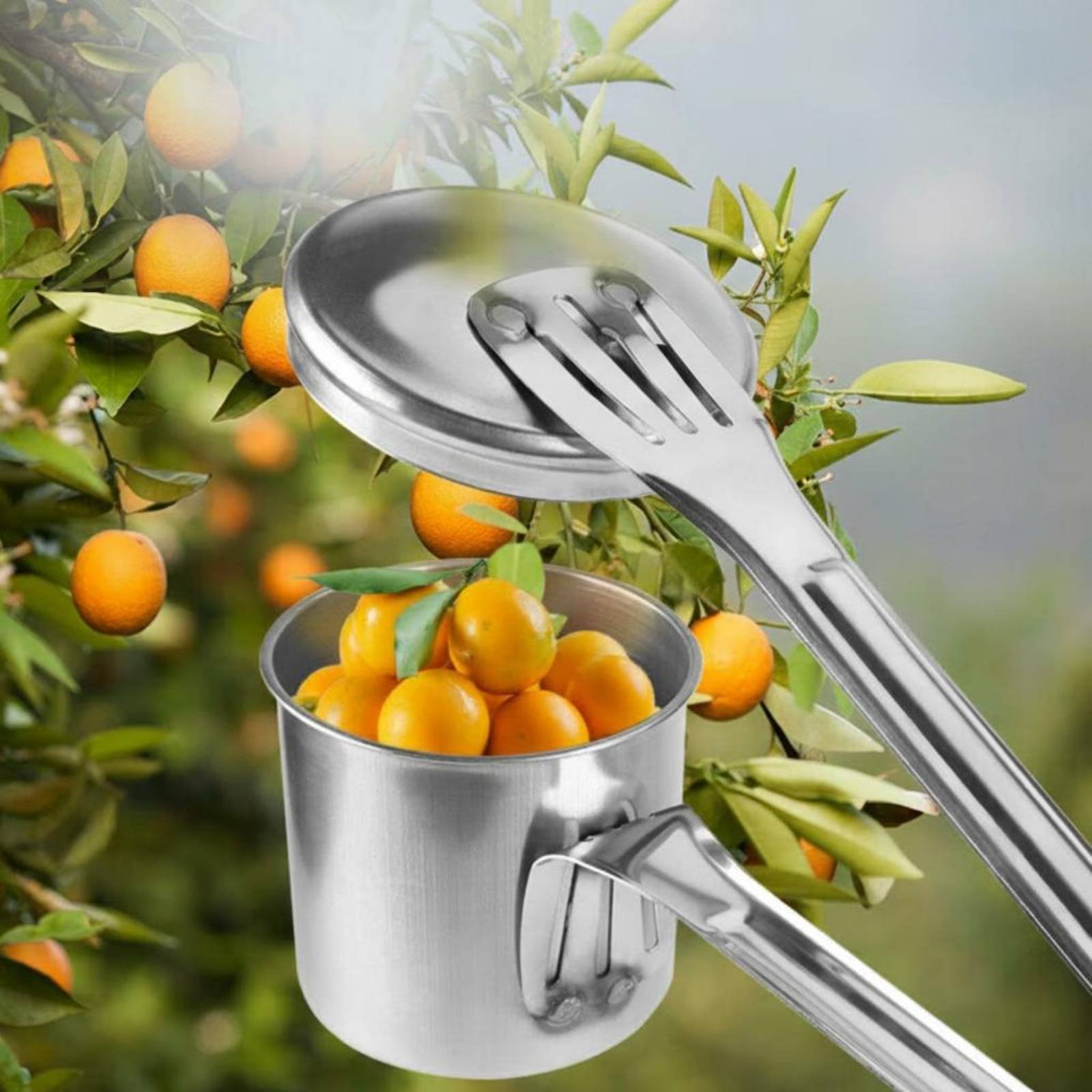 Cueilleur de fruits en acier i - Gardening Tools And Uses avis et prix