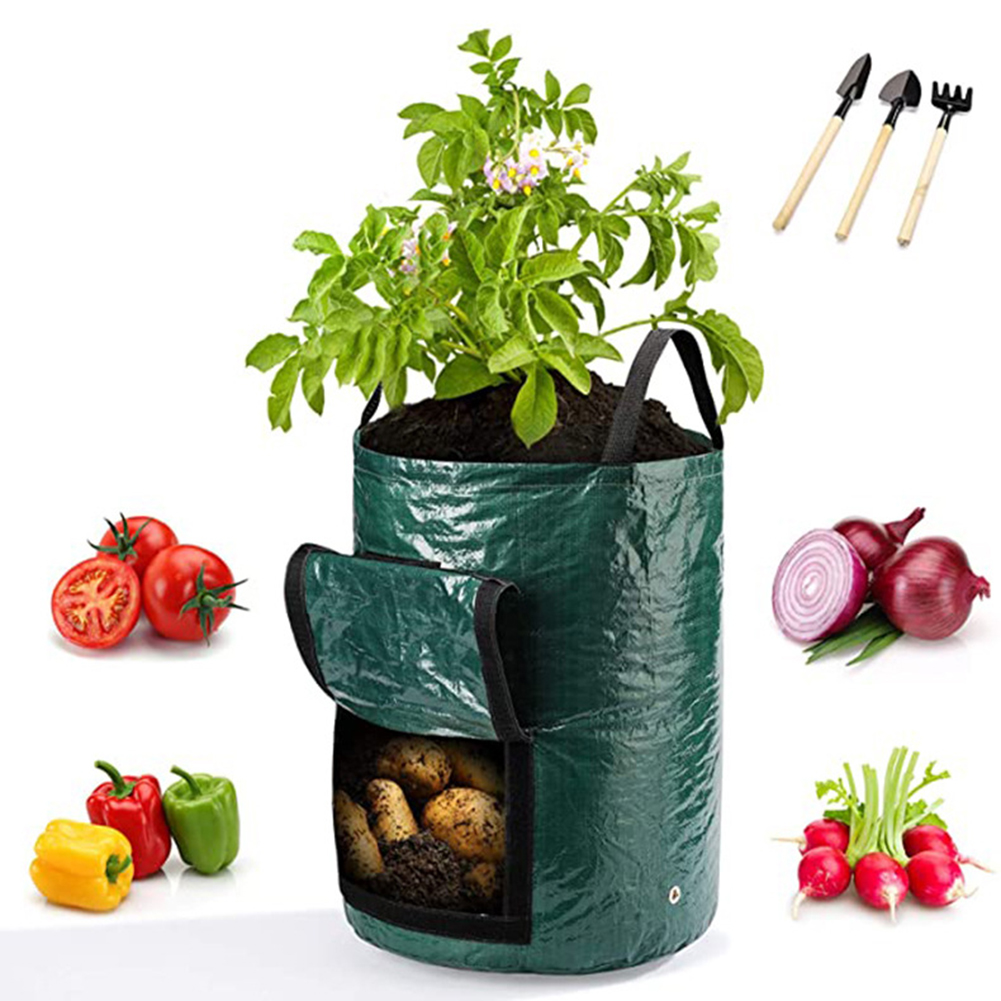 Sacs de culture de 10 gallons  - Outdoor Planting Bag avis et prix